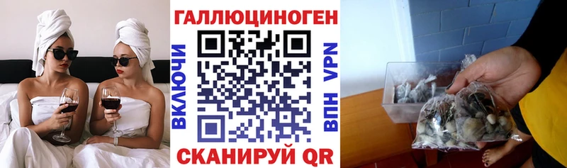 Галлюциногенные грибы GOLDEN TEACHER  это клад  Починок 